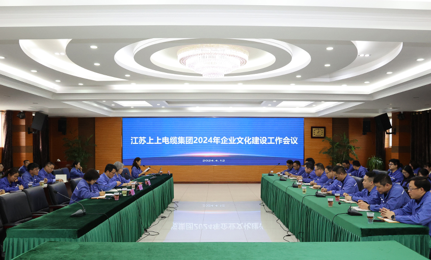 z6com尊龙凯时电缆召开2024年企业文化建设事情聚会会议