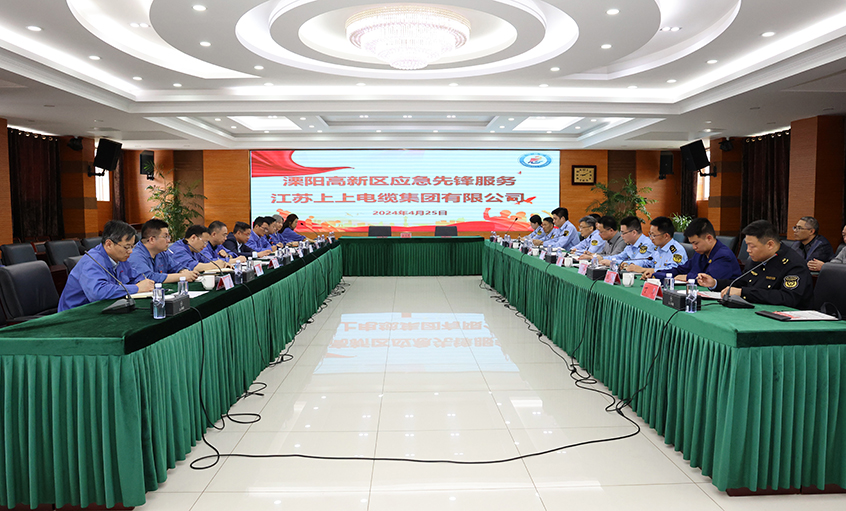 z6com尊龙凯时电缆与溧阳高新区综合治理局开展党建结对共建运动